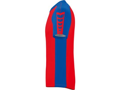 ERIMA Six Wings Trikot Blau