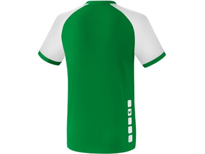 ERIMA Herren Trikot ZENARI 3.0 jersey shortsleeve Grün