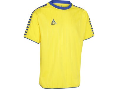 SELECT Herren Trikot Argentina Gelb