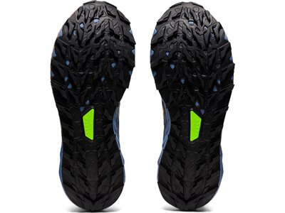 ASICS Herren Trailrunningschuhe GEL-Trabuco 10 GTX Schwarz