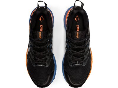 ASICS Herren Trailrunningschuhe GEL-Trabuco 10 GTX Schwarz