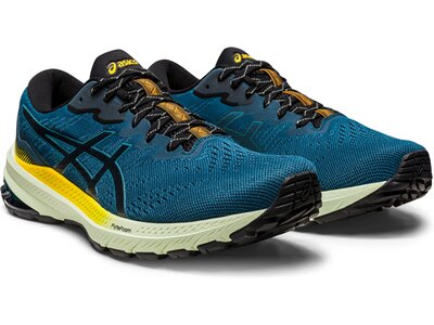 ASICS Herren Laufschuhe GT-1000 11 TR Braun