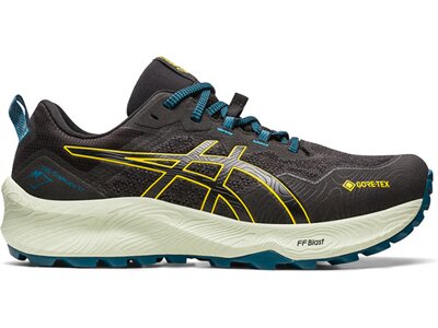 ASICS Herren Trailrunningschuhe GEL-Trabuco™ 11 GTX Braun