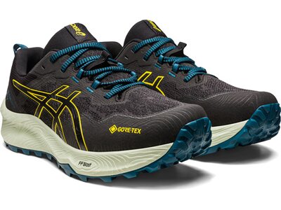 ASICS Herren Trailrunningschuhe GEL-Trabuco™ 11 GTX Braun