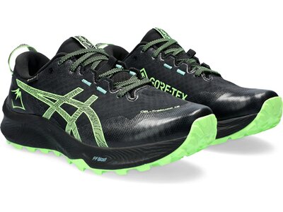 ASICS Herren Trailrunningschuhe GEL-Trabuco 12 GTX Schwarz