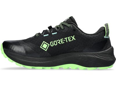 ASICS Herren Trailrunningschuhe GEL-Trabuco 12 GTX Schwarz