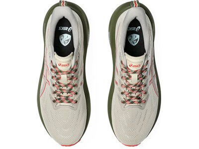 ASICS Herren Laufschuhe GT-2000 13 TR Grau