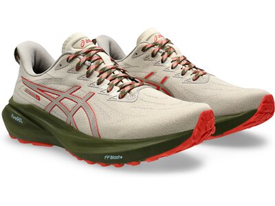 ASICS Herren Laufschuhe GT-2000 13 TR Grau