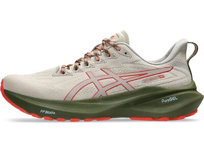 ASICS Herren Laufschuhe GT-2000 13 TR Grau