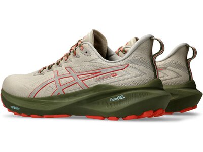 ASICS Herren Laufschuhe GT-2000 13 TR Grau
