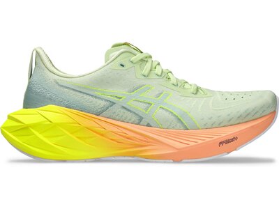 ASICS Herren Laufschuhe NOVABLAST 4 PARIS Grau