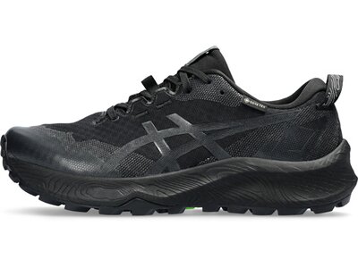 ASICS Damen Trailrunningschuhe GEL-Trabuco 12 GTX Grau