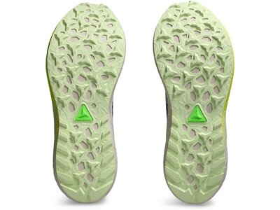 ASICS Damen Trailrunningschuhe Fuji Lite 5 Grau