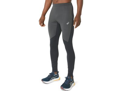 ASICS Herren Tights WINTER RUN TIGHT Grau