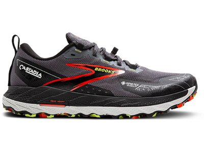 BROOKS Herren Trailrunningschuhe Cascadia 18 GTX Grau