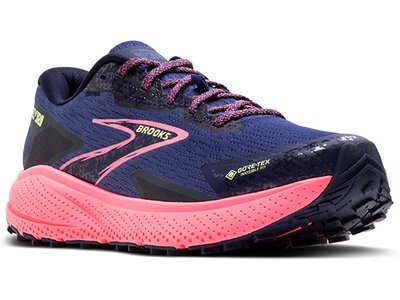 BROOKS Damen Trailrunningschuhe Divide 5 GTX Grau