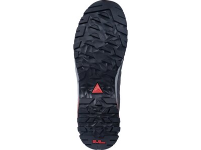DACHSTEIN Herren Multifunktionsschuhe SF-21 GTX Grau