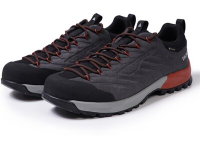 DACHSTEIN Herren Multifunktionsschuhe SF-21 GTX Grau
