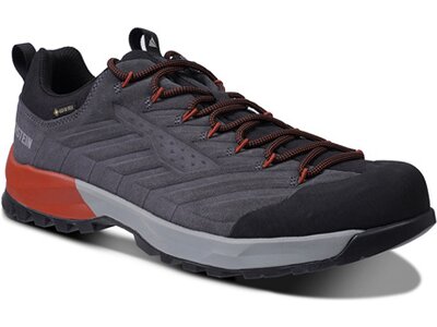 DACHSTEIN Herren Multifunktionsschuhe SF-21 GTX Grau