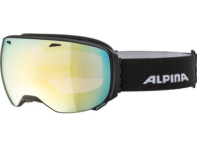 ALPINA Skibrille Big Horn MM Grau