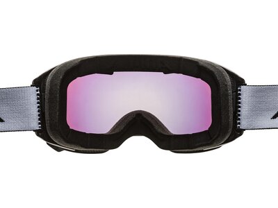 ALPINA Skibrille Big Horn MM Grau