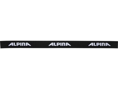 ALPINA Skibrille Big Horn MM Grau