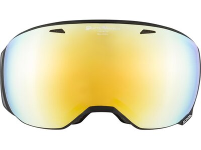 ALPINA Skibrille Big Horn MM Grau