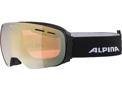ALPINA Skibrille "Granby QMM" Braun