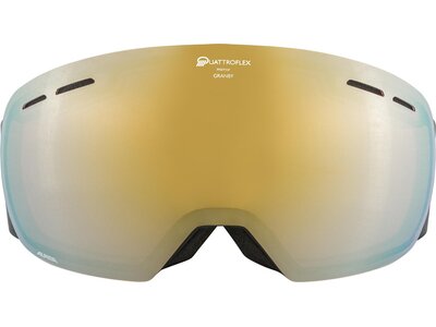 ALPINA Skibrille "Granby QMM" Braun