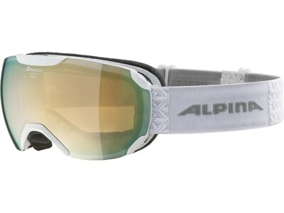 ALPINA Herren Skibrille "Pheos S HM" Silber