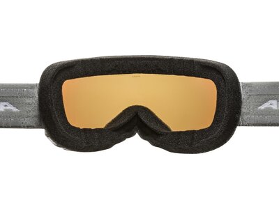 ALPINA Herren Skibrille "Pheos S HM" Silber