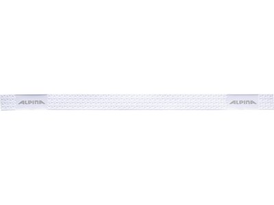 ALPINA Herren Skibrille "Pheos S HM" Silber