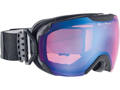 ALPINA Skibrille Pheos S QMM Grau