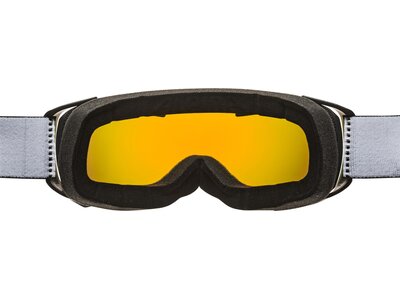 ALPINA Skibrille "Estetica MM" Orange