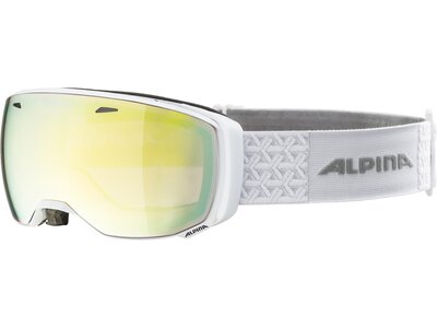 ALPINA Herren Brille Estetica Qvmm Grau