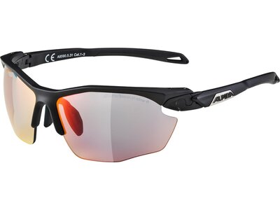 ALPINA Brille TWIST FIVE Silber