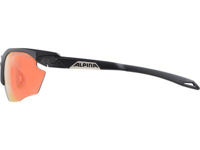 ALPINA Brille TWIST FIVE Silber