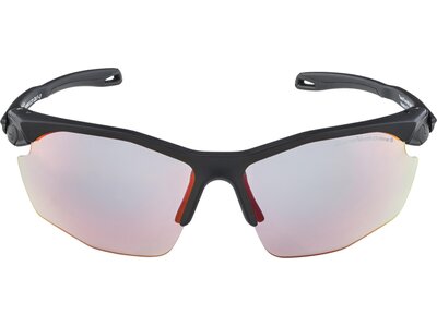 ALPINA Brille TWIST FIVE Silber