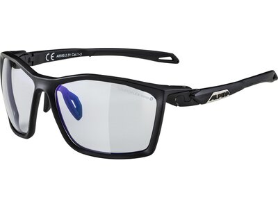 ALPINA Brille TWIST FIVE Grau