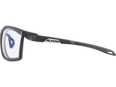 ALPINA Brille TWIST FIVE Grau