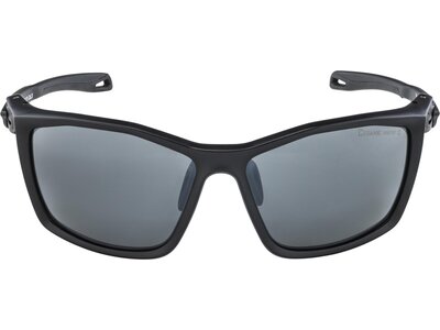 ALPINA Brille TWIST FIVE Grau