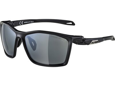 ALPINA Brille TWIST FIVE Grau