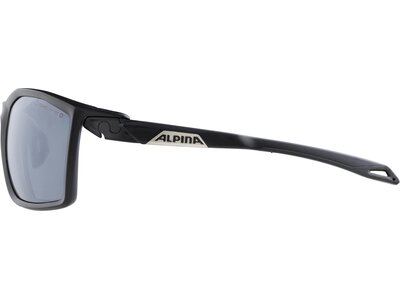 ALPINA Brille TWIST FIVE Grau