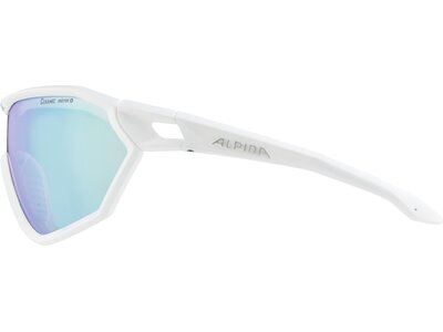 ALPINA Brille ALPINA S-WAY Blau