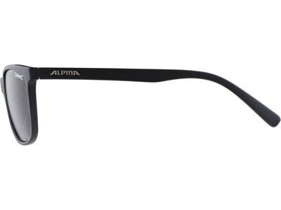 ALPINA Brille JAIDA Grau