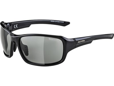 ALPINA Herren Brille ALPINA LYRON VL Grau