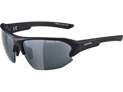 ALPINA Brille ALPINA LYRON Grau