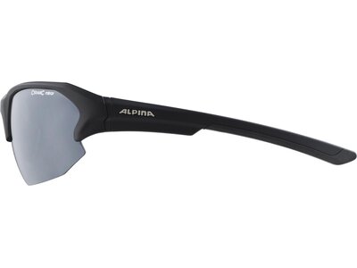 ALPINA Brille ALPINA LYRON Grau