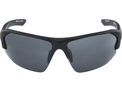 ALPINA Brille ALPINA LYRON Grau