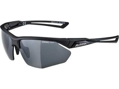 ALPINA Brille ALPINA NYLOS Grau